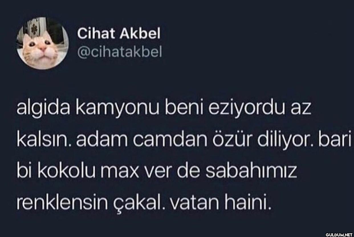 algida kamyonu beni...