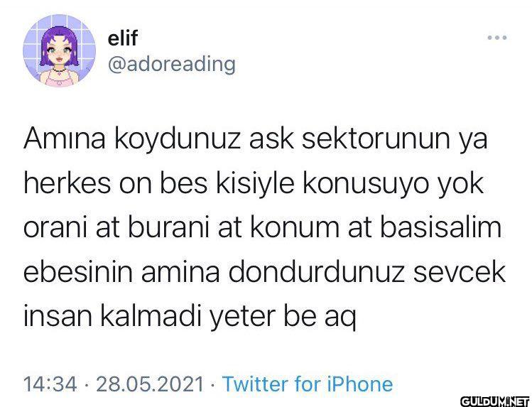 Amina koydunuz ask...