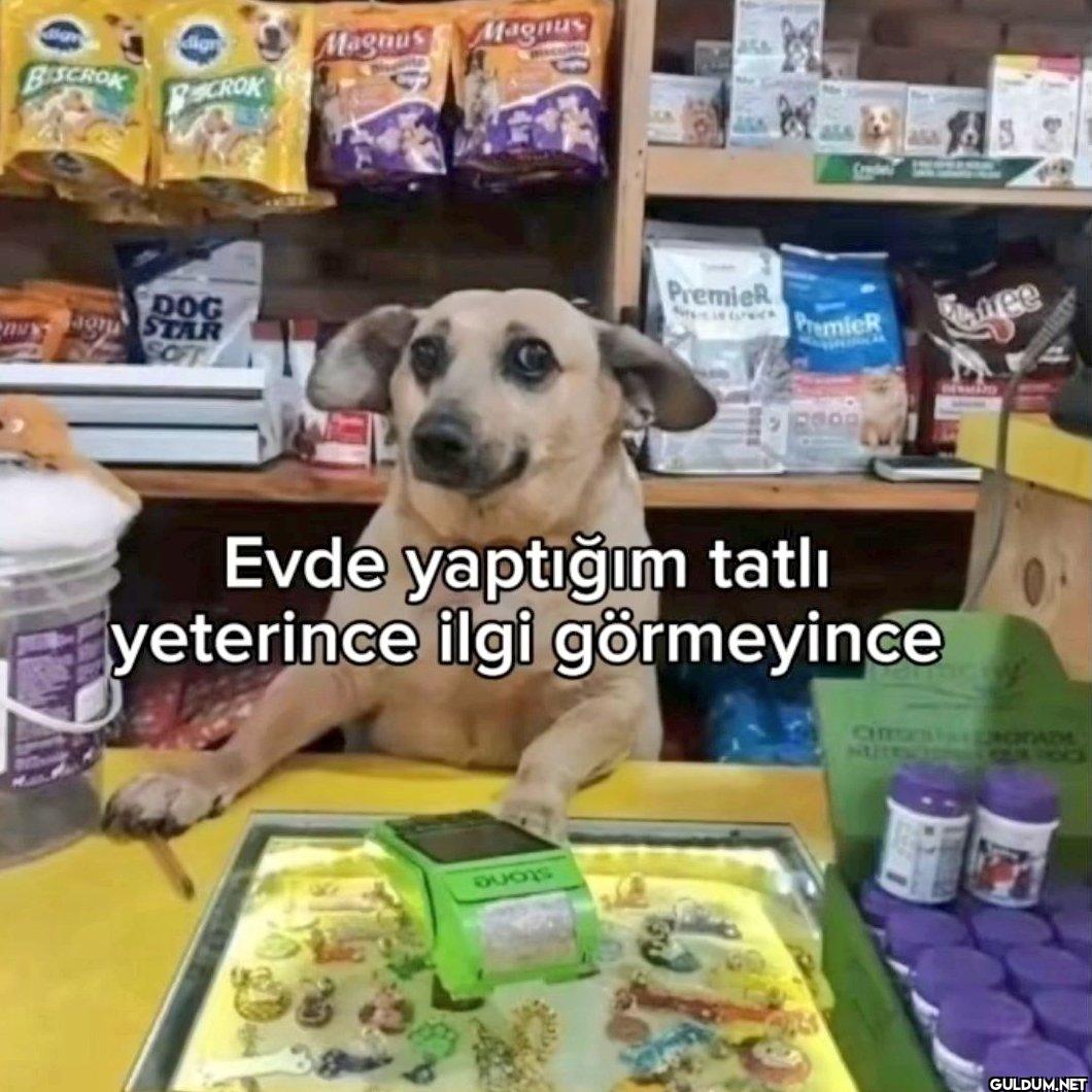 BISCROK igr CROK Magnus...