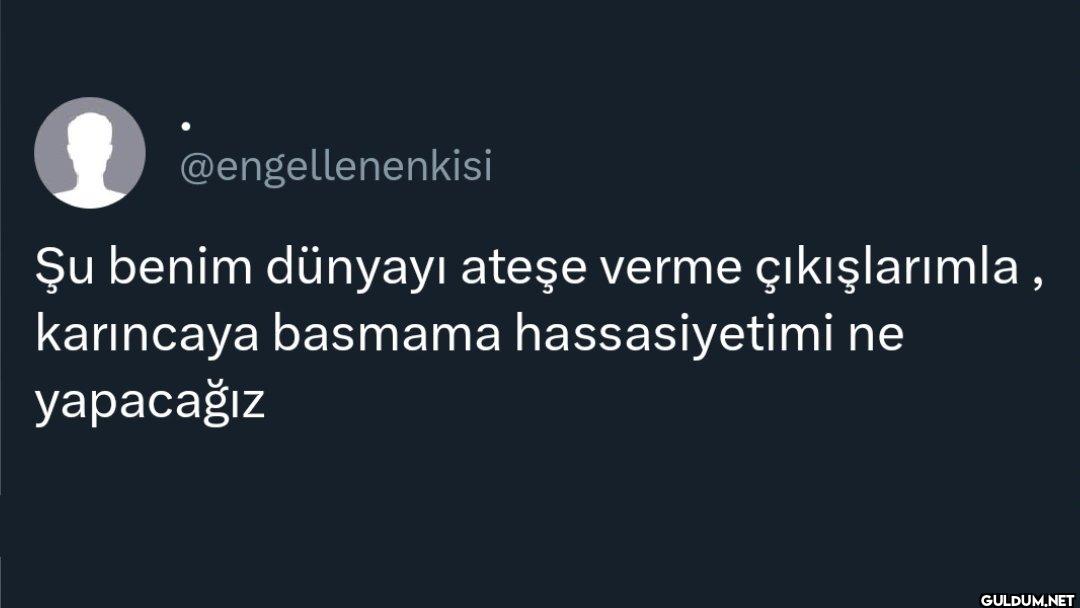 Şu benim dünyayı ateşe...