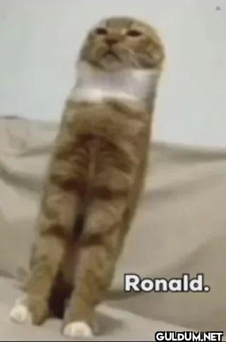 Ronald.
