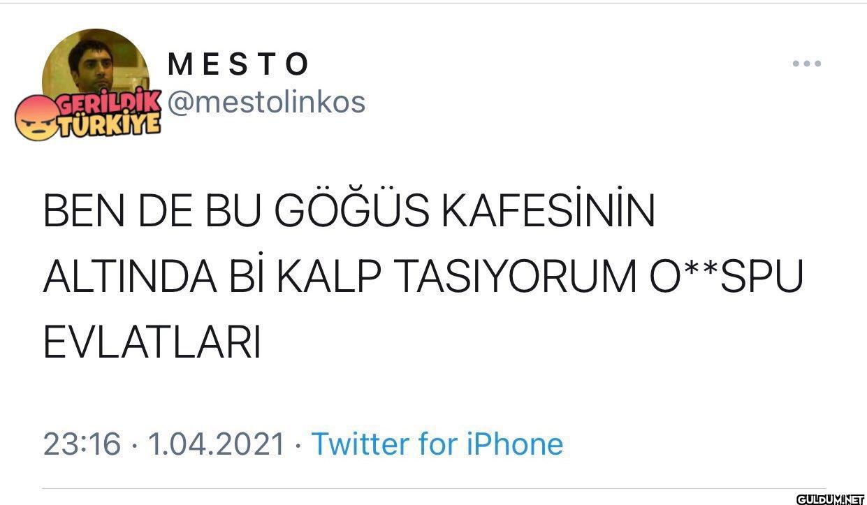 TÜRKİYE BEN DE BU GÖĞÜS...