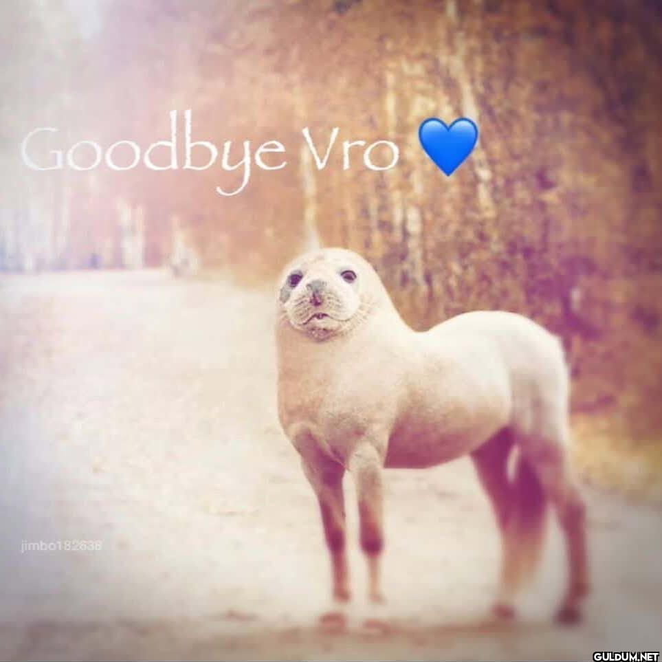Goodbye Vro jimbo182638