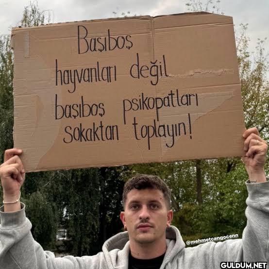 Basibos hayvanları değil...