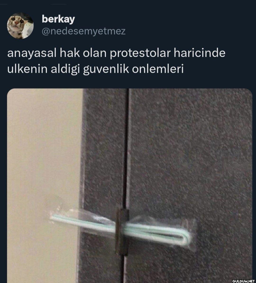anayasal hak olan...
