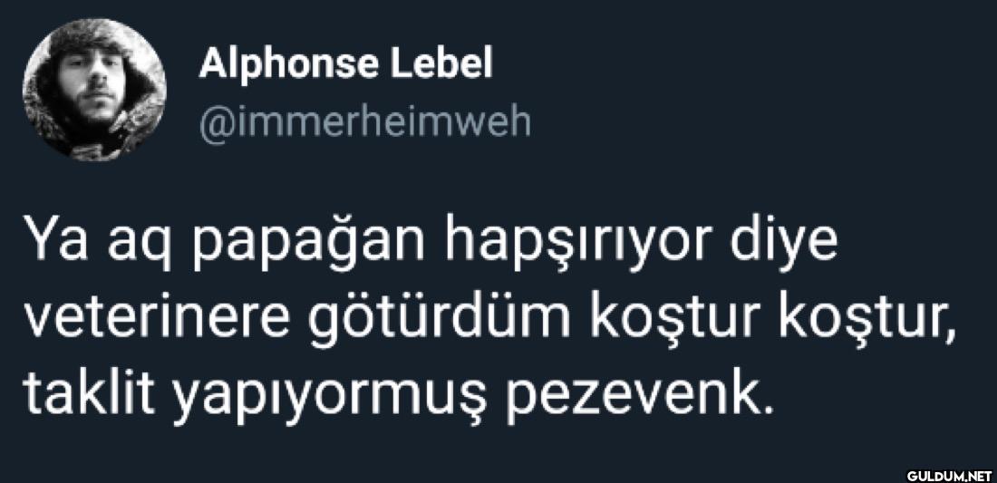 Ya aq papağan hapşırıyor...