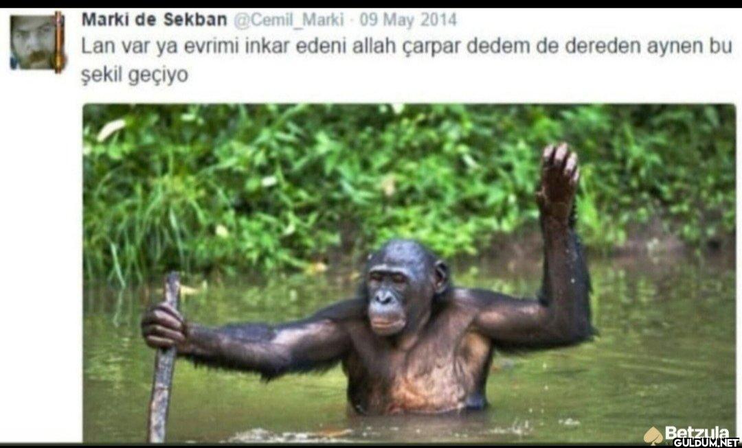 09 May 2014 Lan var ya...