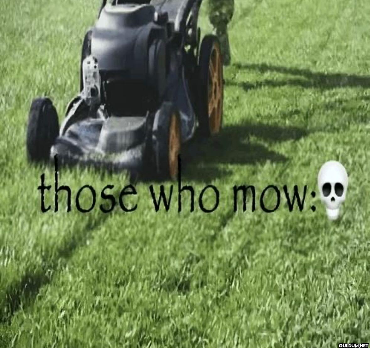 those who mow