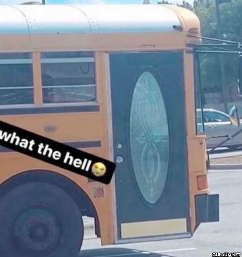 what the hell