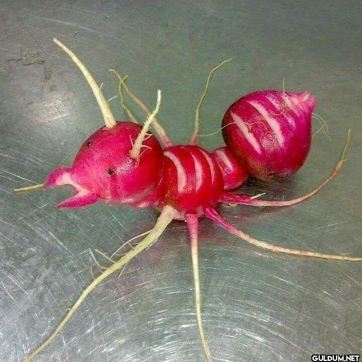 ︎ ︎ ︎︎ ︎ ︎ ︎ ︎ ︎