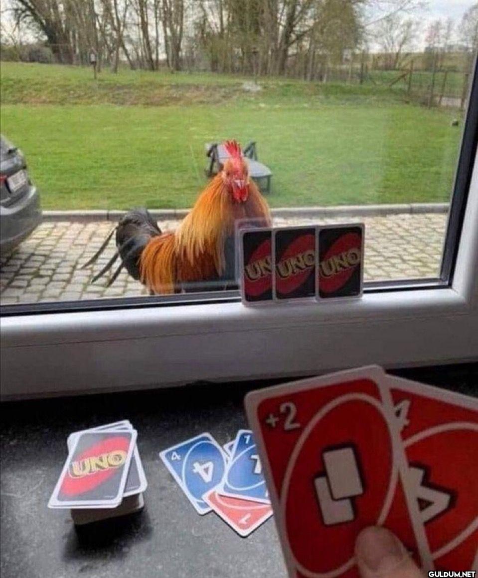 UNO UNO UNO UNO 4 7 +2 4