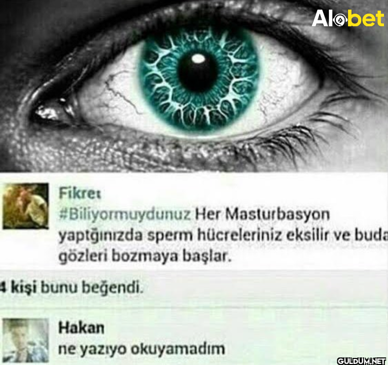 Alobet Fikret...