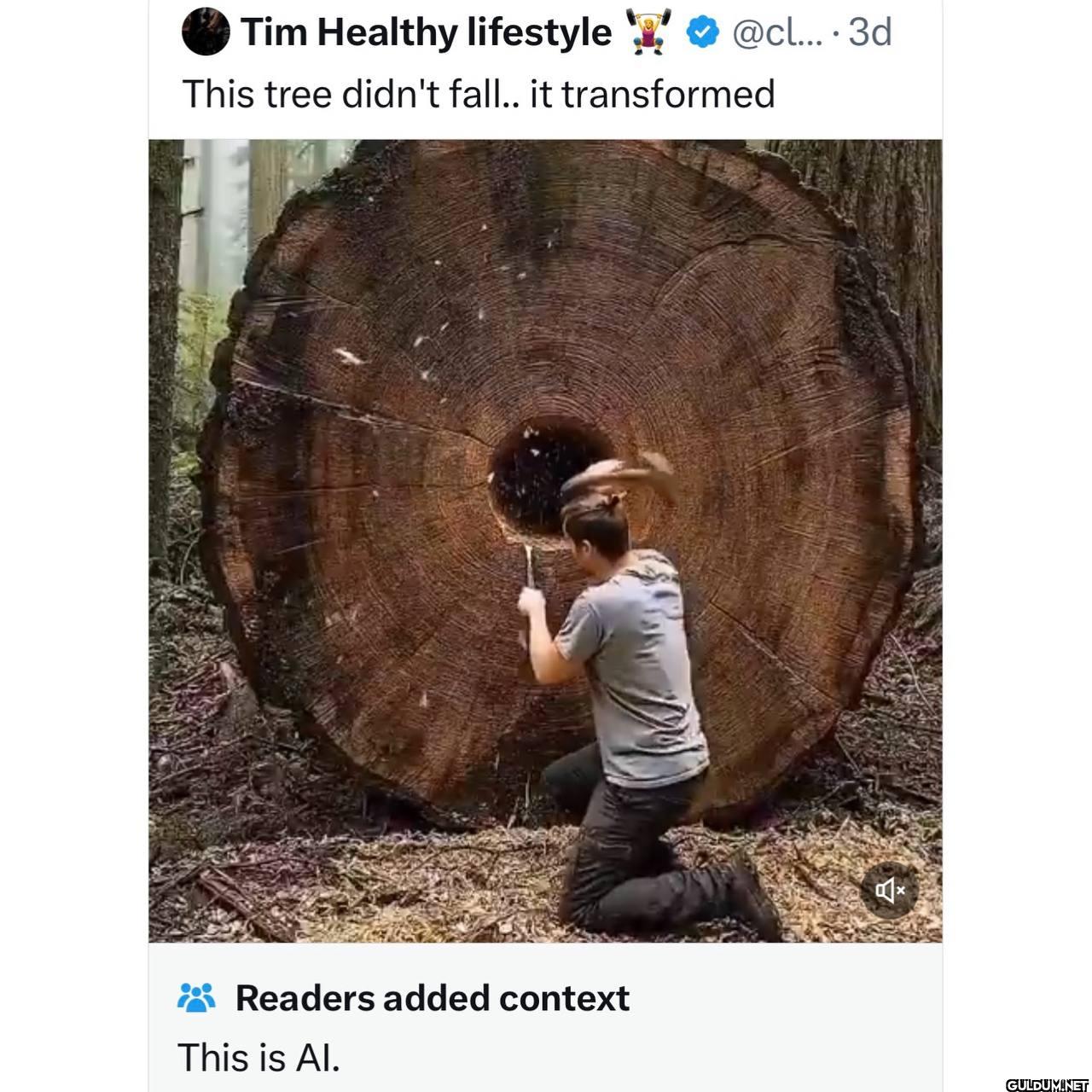 This is AI    Tim Healthy...