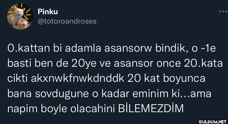 O.kattan bi adamla...