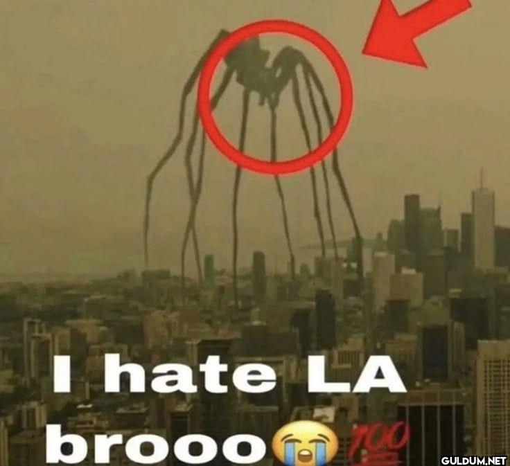 I hate LA brooo