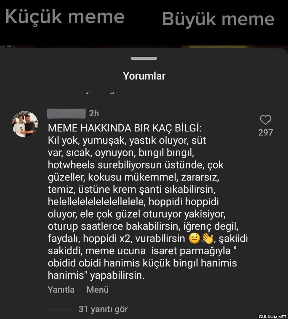 bir sevdadır    Küçük meme...