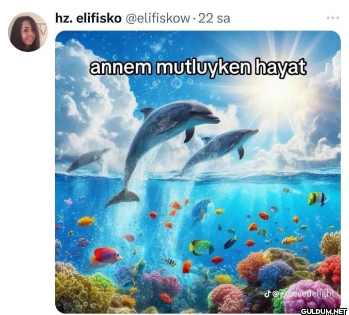 22 sa annem mutluyken...