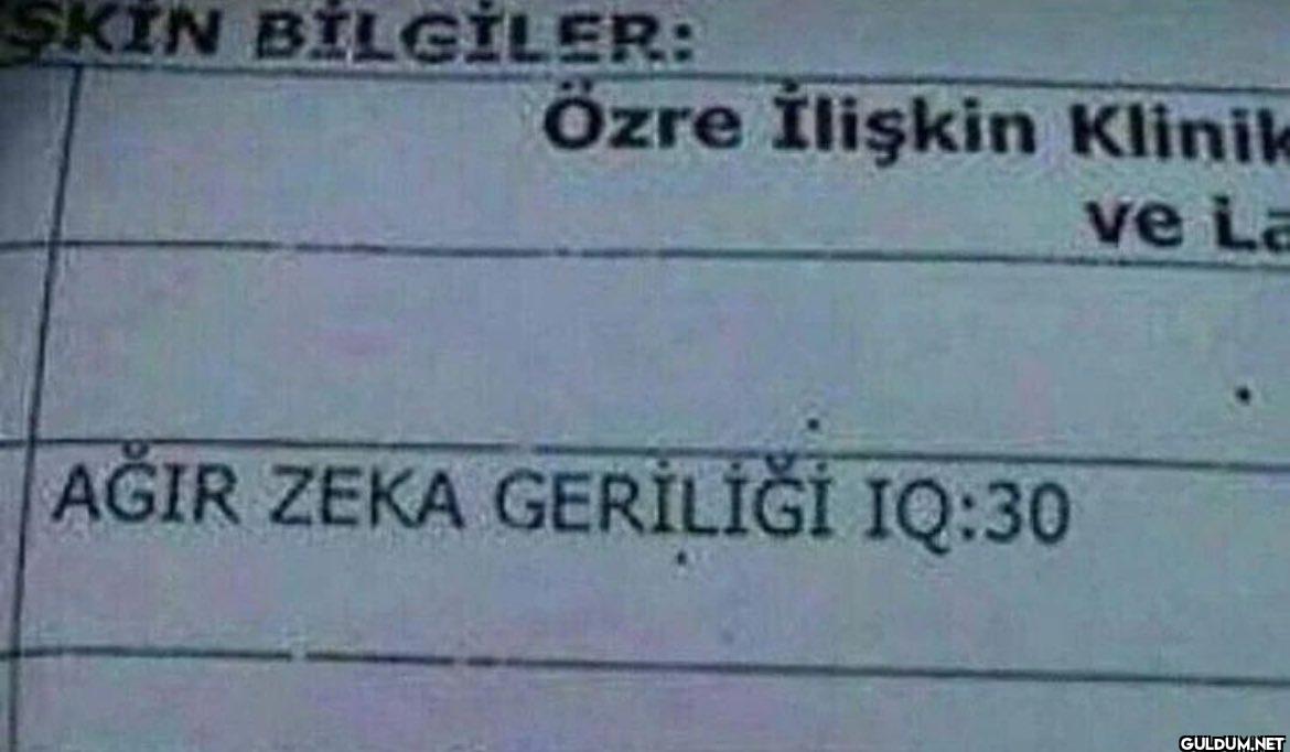 SKIN BİLGİLER: Özre...