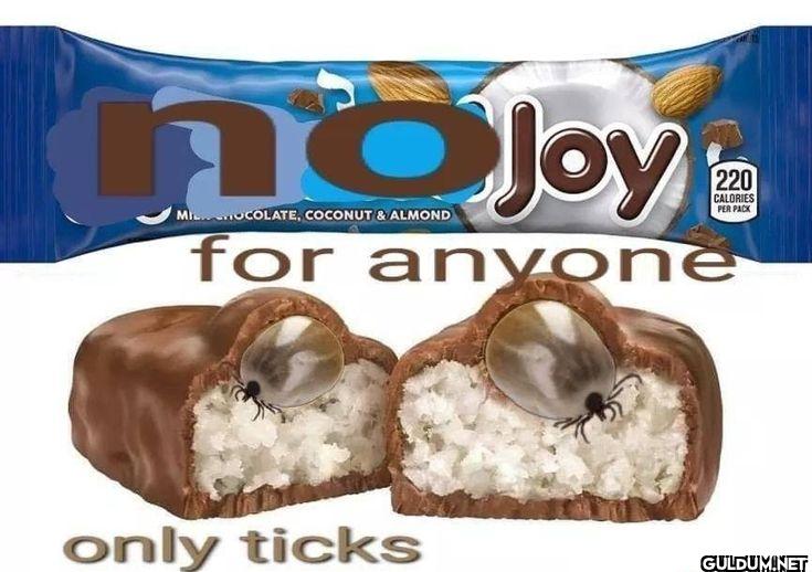 no Joy MILCHOCOLATE,...