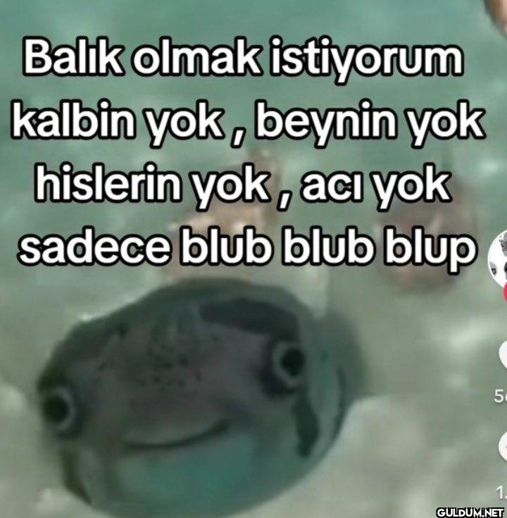 Balik olmak istiyorum...