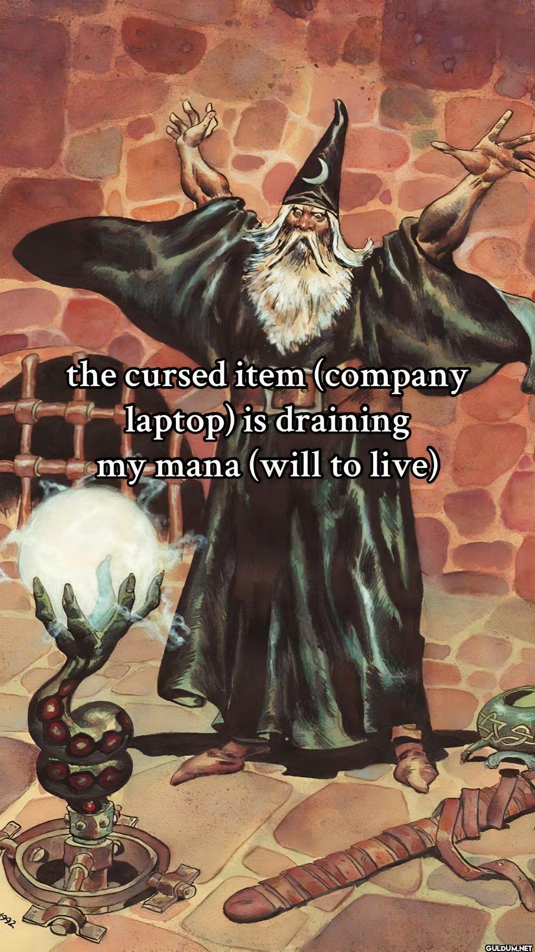 the cursed item (company...