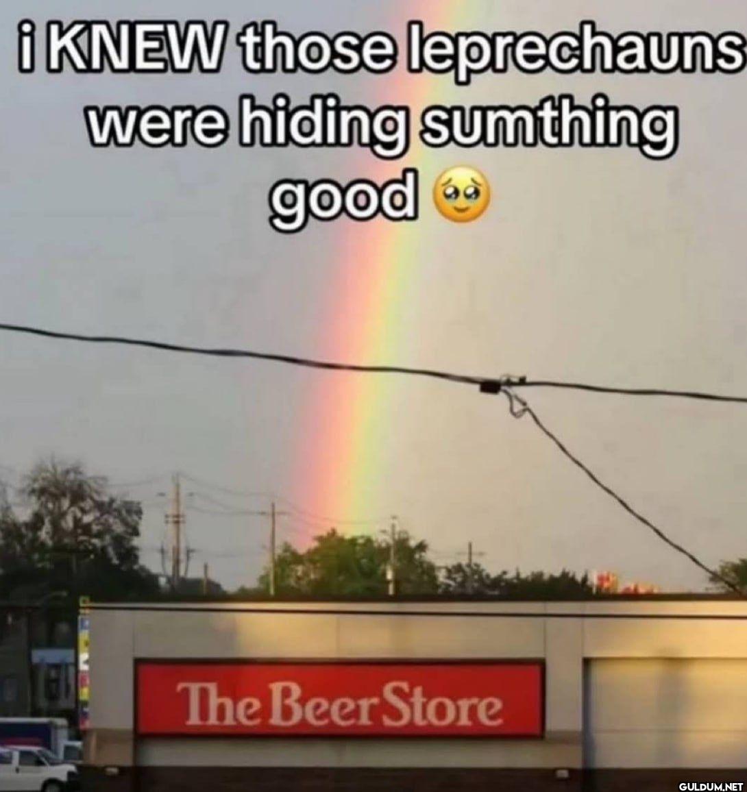 ¡ KNEW those leprechauns...