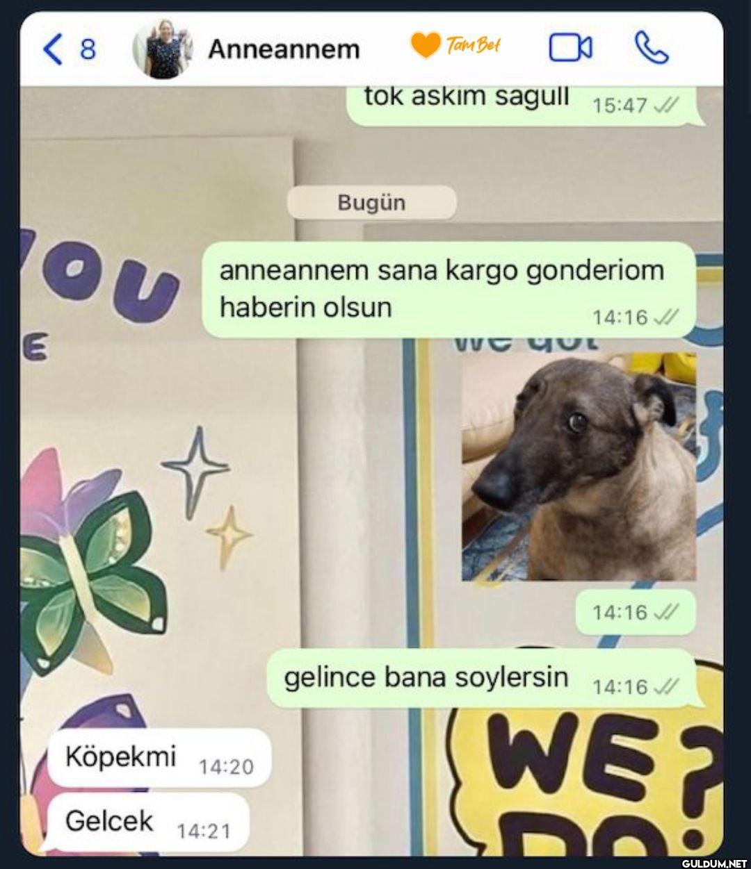 < 8 Anneannem OU E Tam Bet...