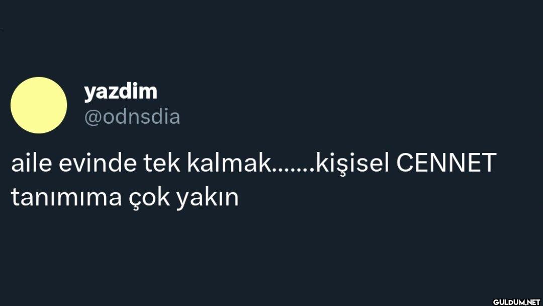 aile evinde tek...