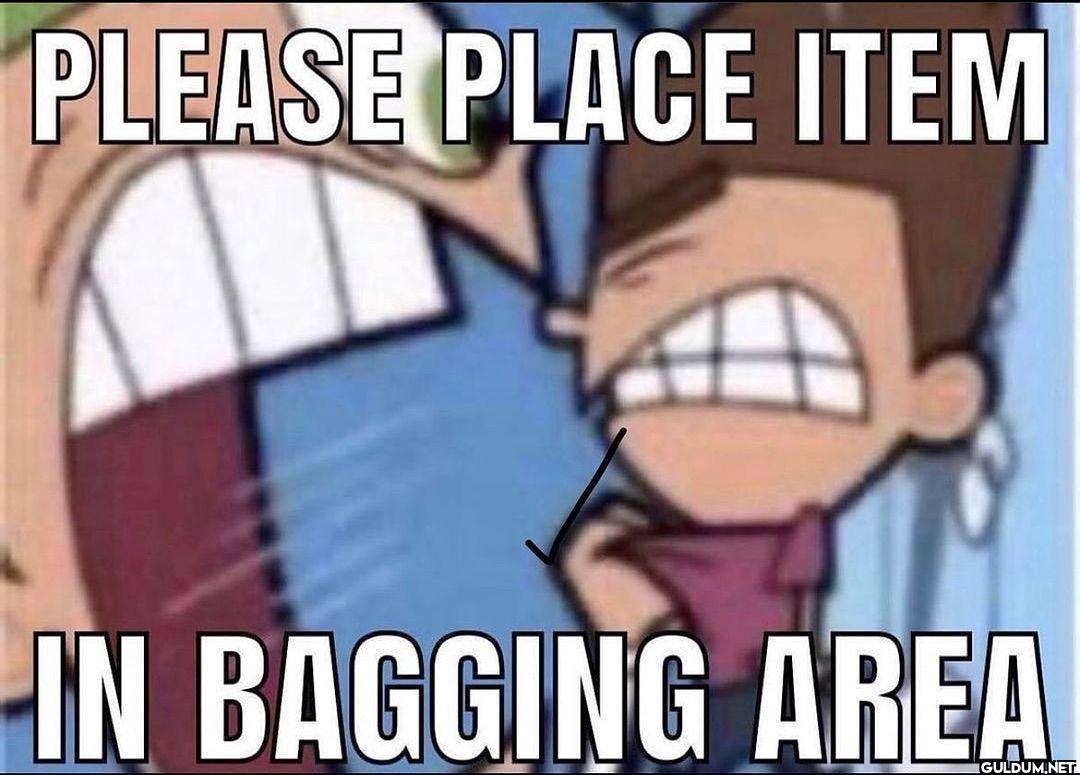 PLEASE PLACE ITEM IN BAGGING AREA