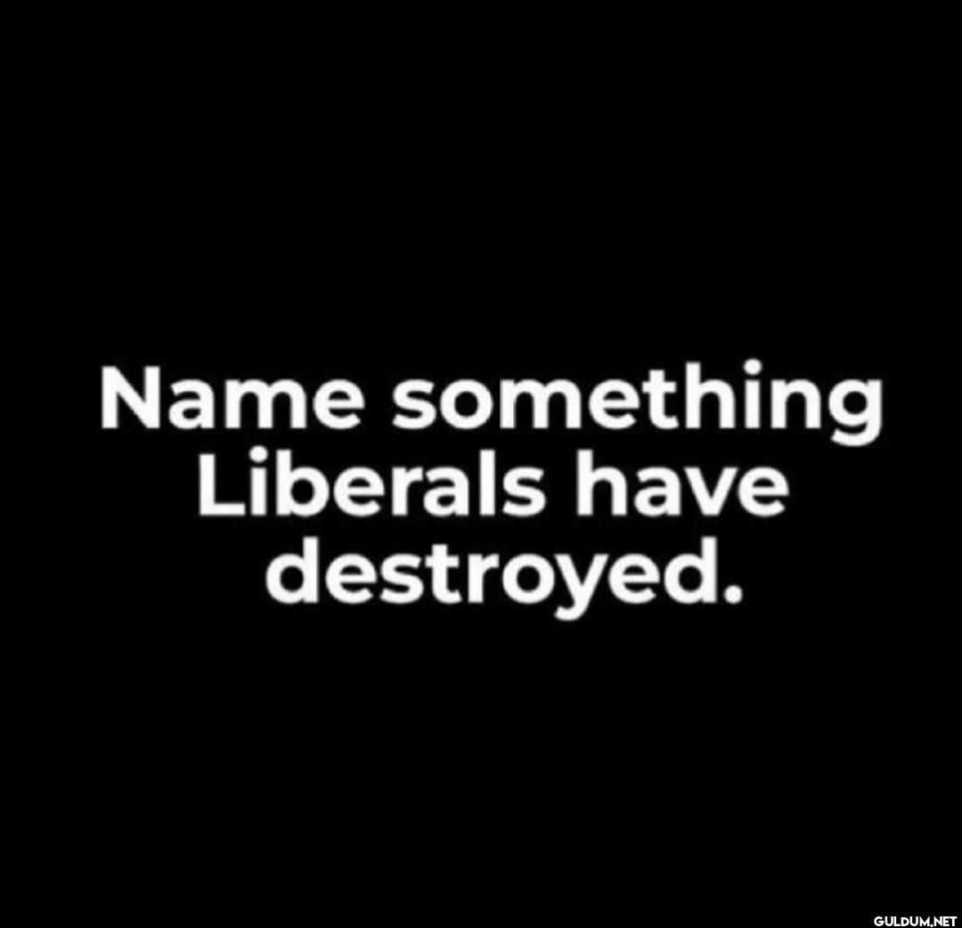 Literally everything they...