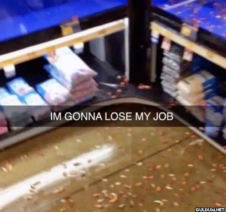 IM GONNA LOSE MY JOB