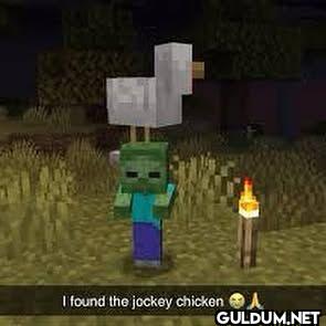 I found the jockey chicken