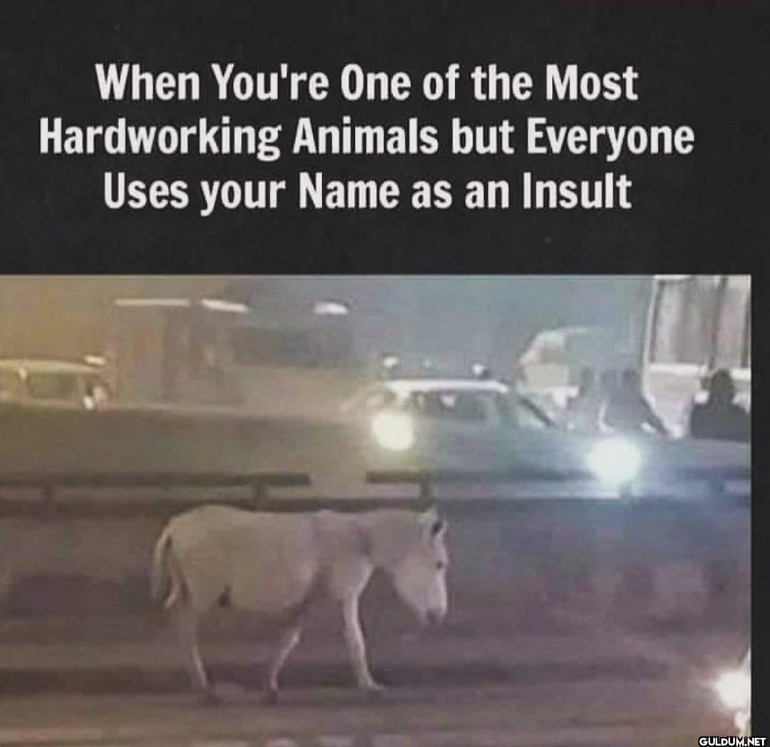 Never thought about this  ...