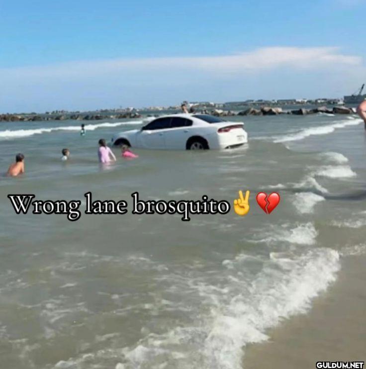 Wrong lane brosquito