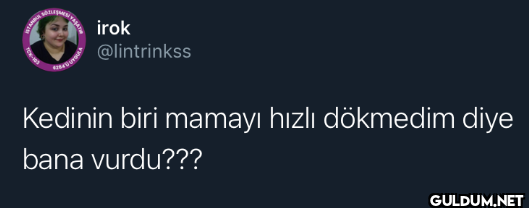 Kedinin biri mamayı hızlı...
