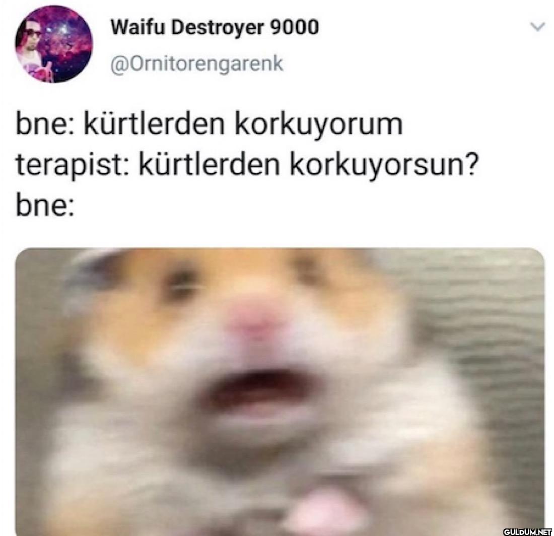 bne: kürtlerden korkuyorum...