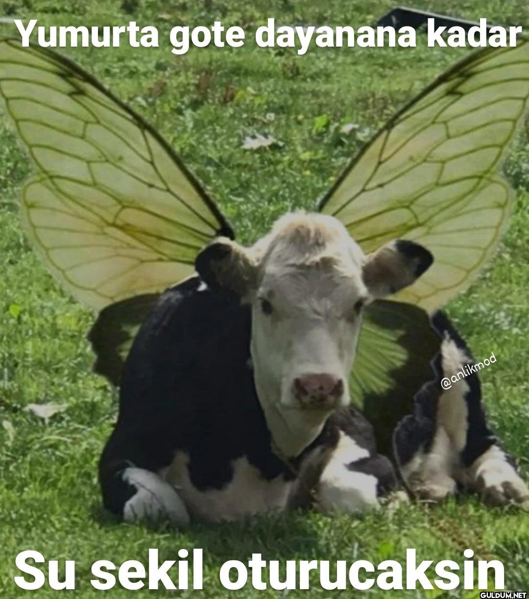 Su sekil oturucaksin