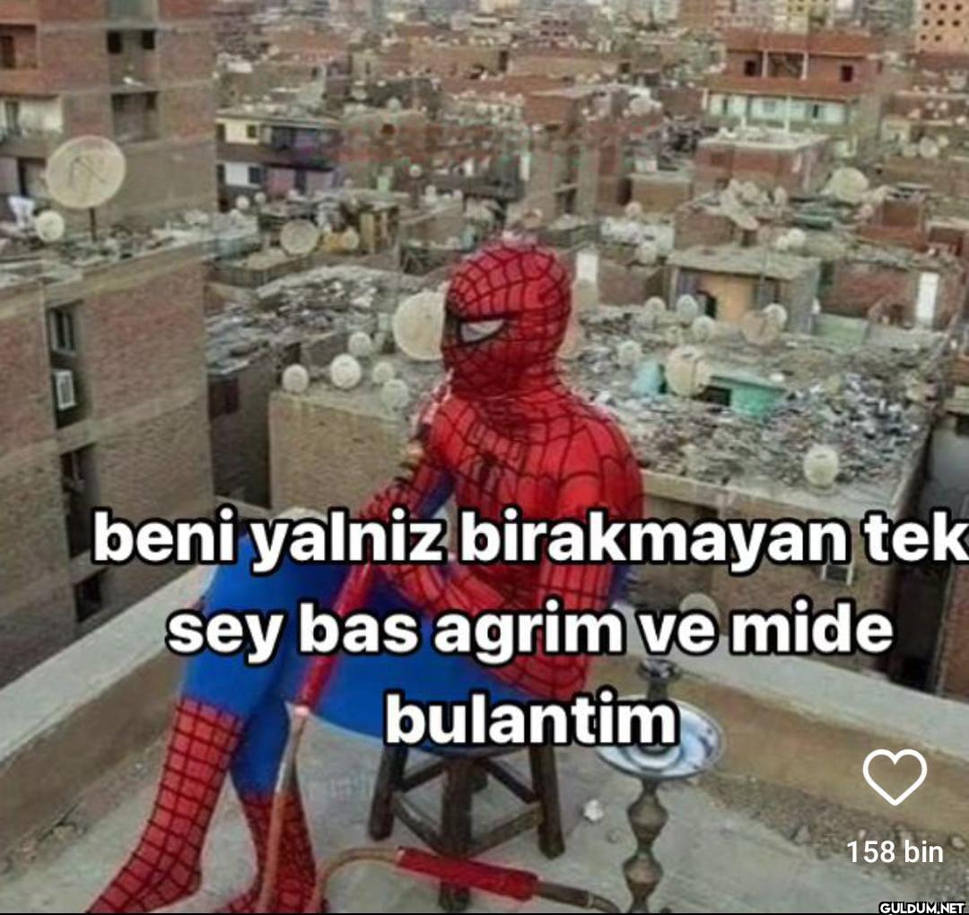 beni yalniz birakmayan tek...