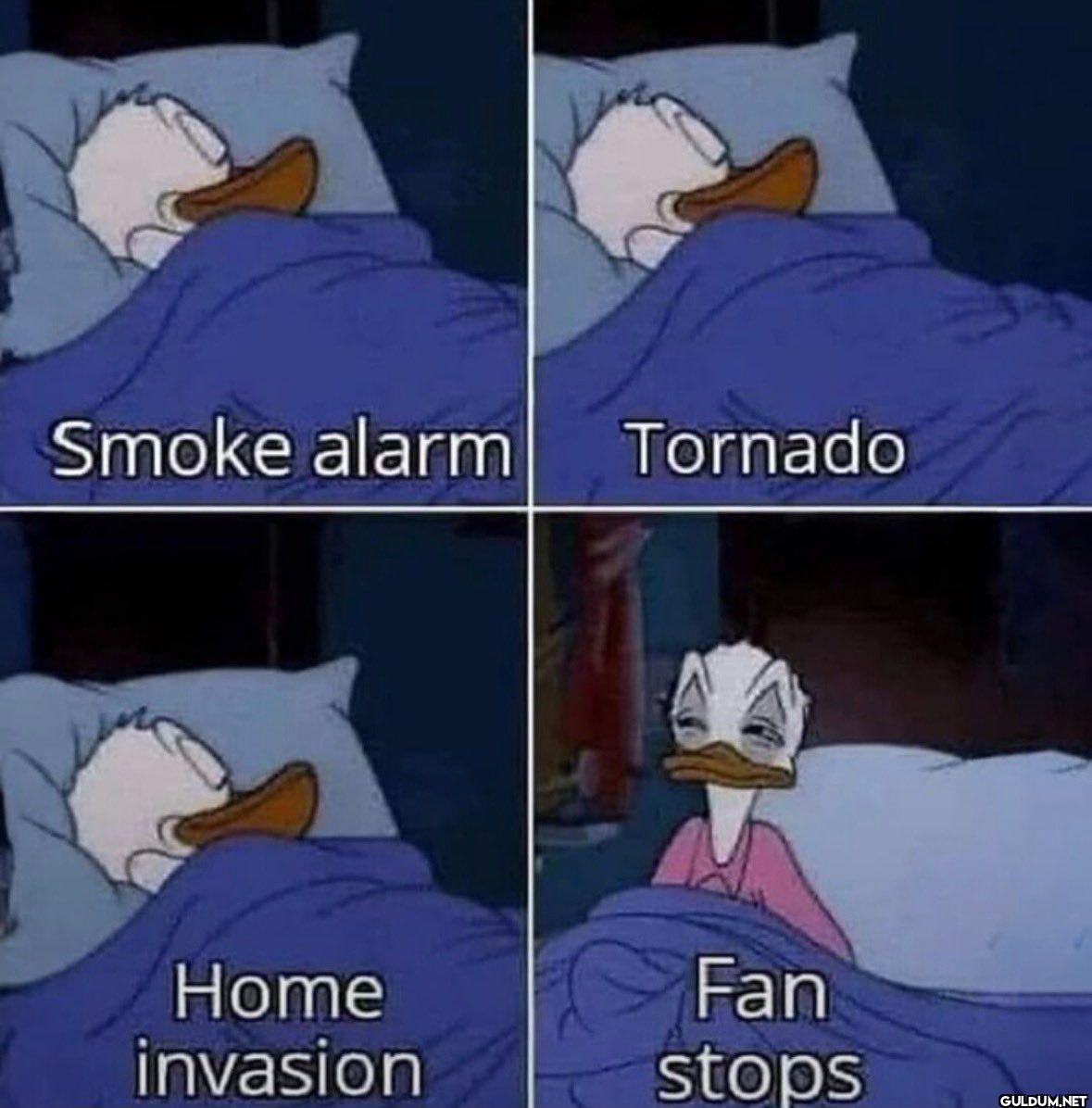 Smoke alarm Tornado Home...