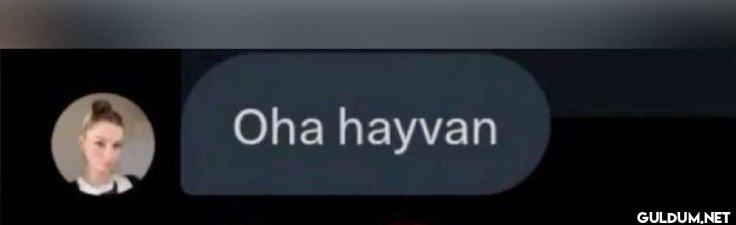Oha hayvan