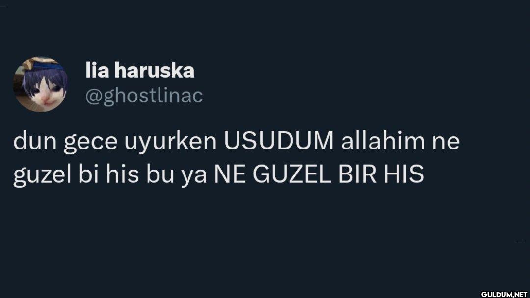 dun gece uyurken USUDUM...