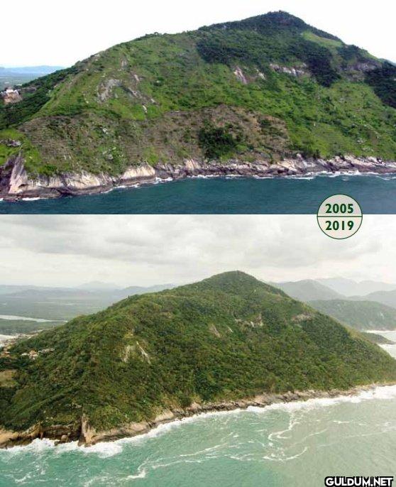 2005 vs 2019    2005 2019
