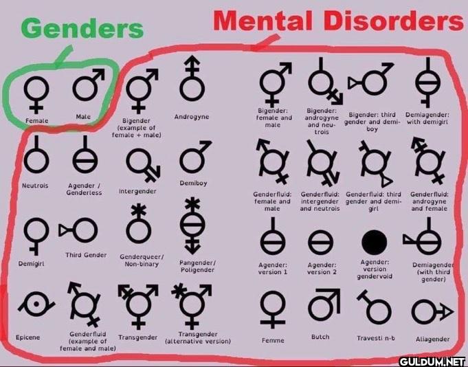 Just saying.    Genders...