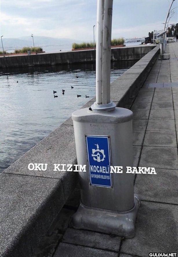 OKU KIZIM KOCAELI NE BAKMA