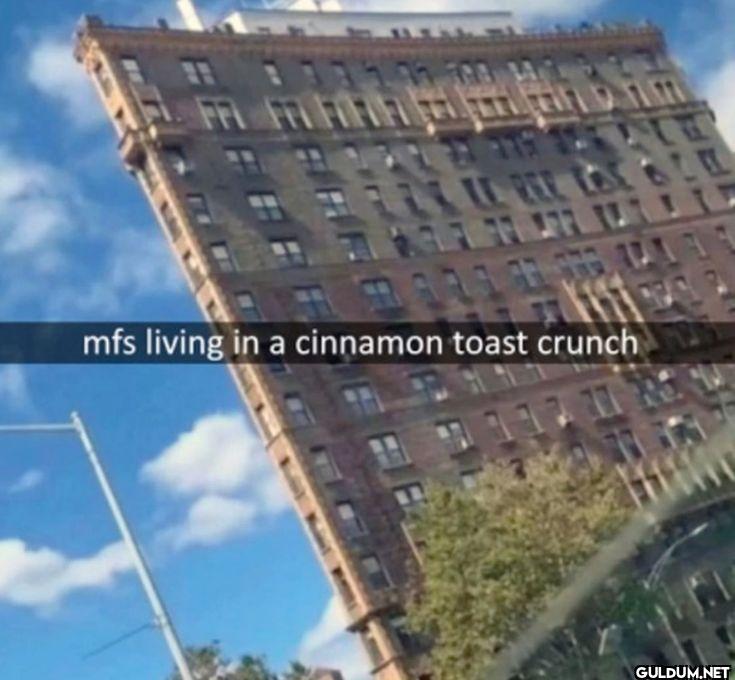 mfs living in a cinnamon...