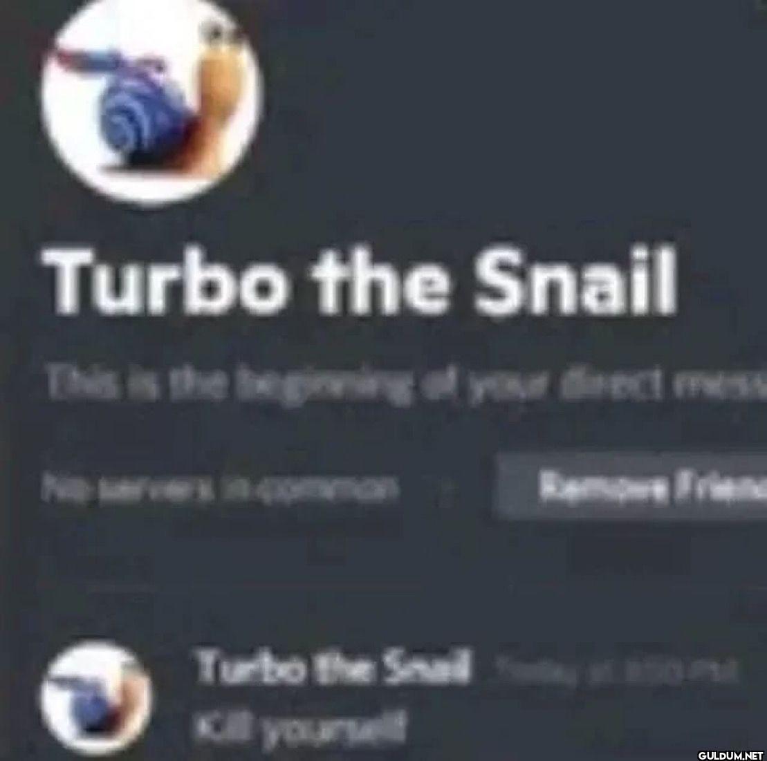 Turbo the Snail This is...