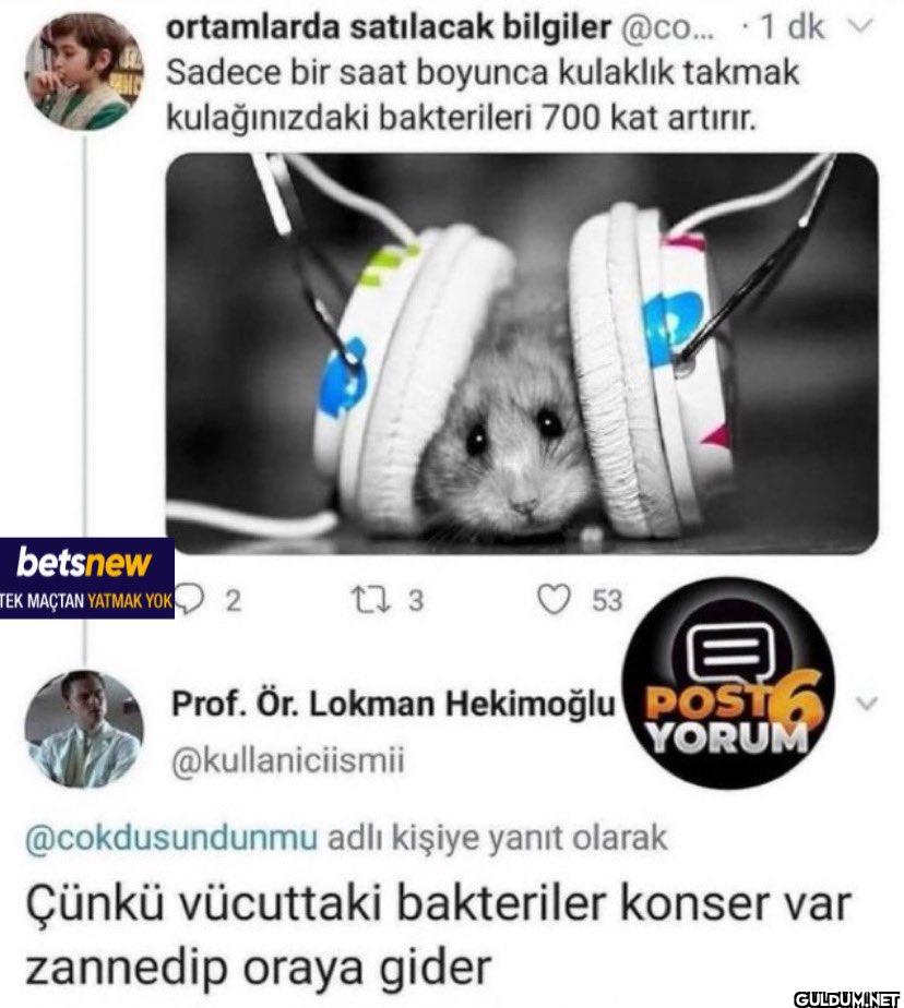 betsnew ortamlarda...