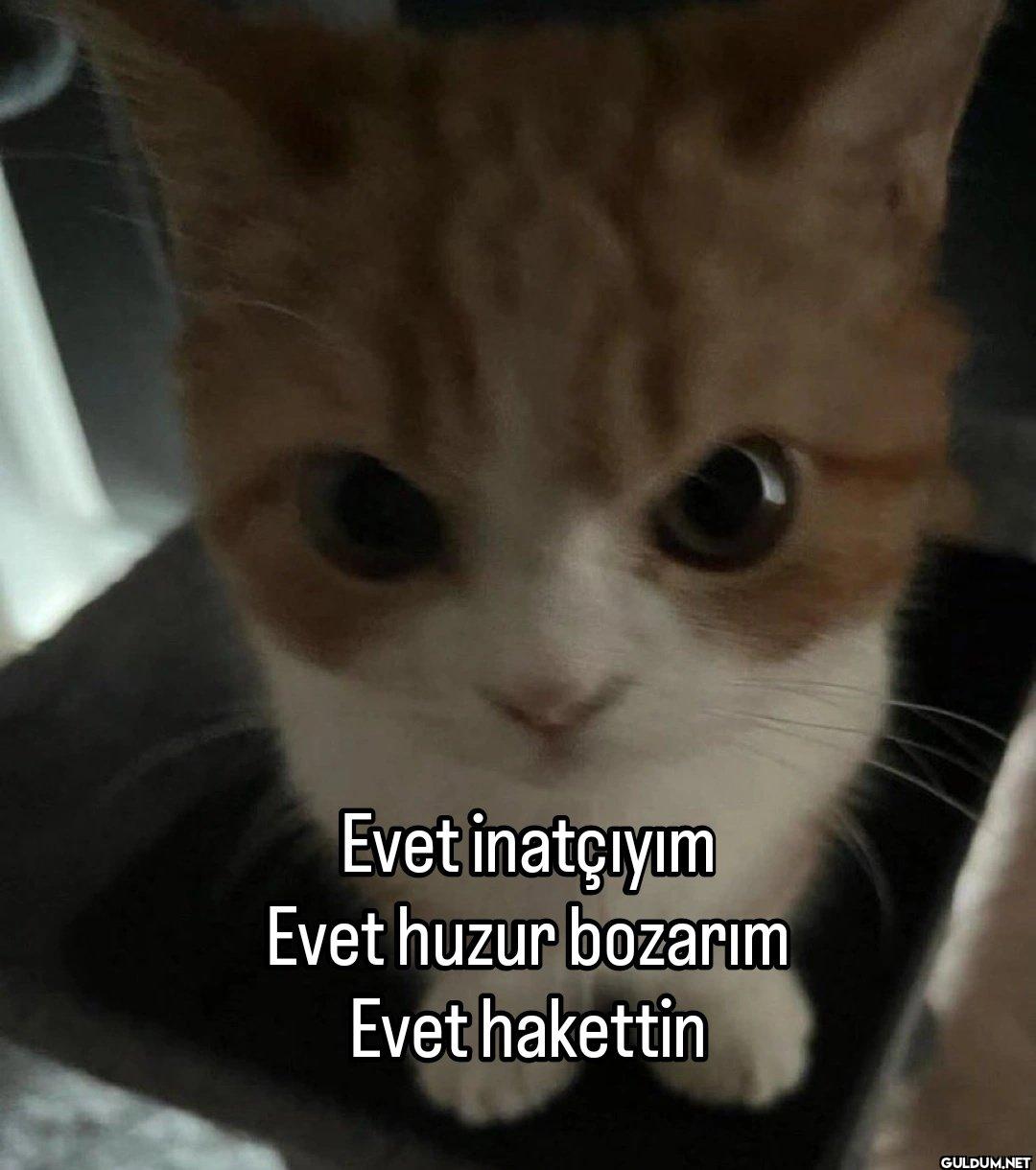 Evet inatçıyım Evet huzur...