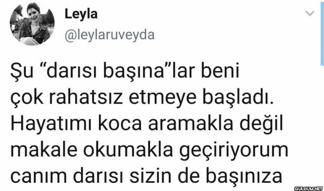 Şu "darısı başına"lar beni...