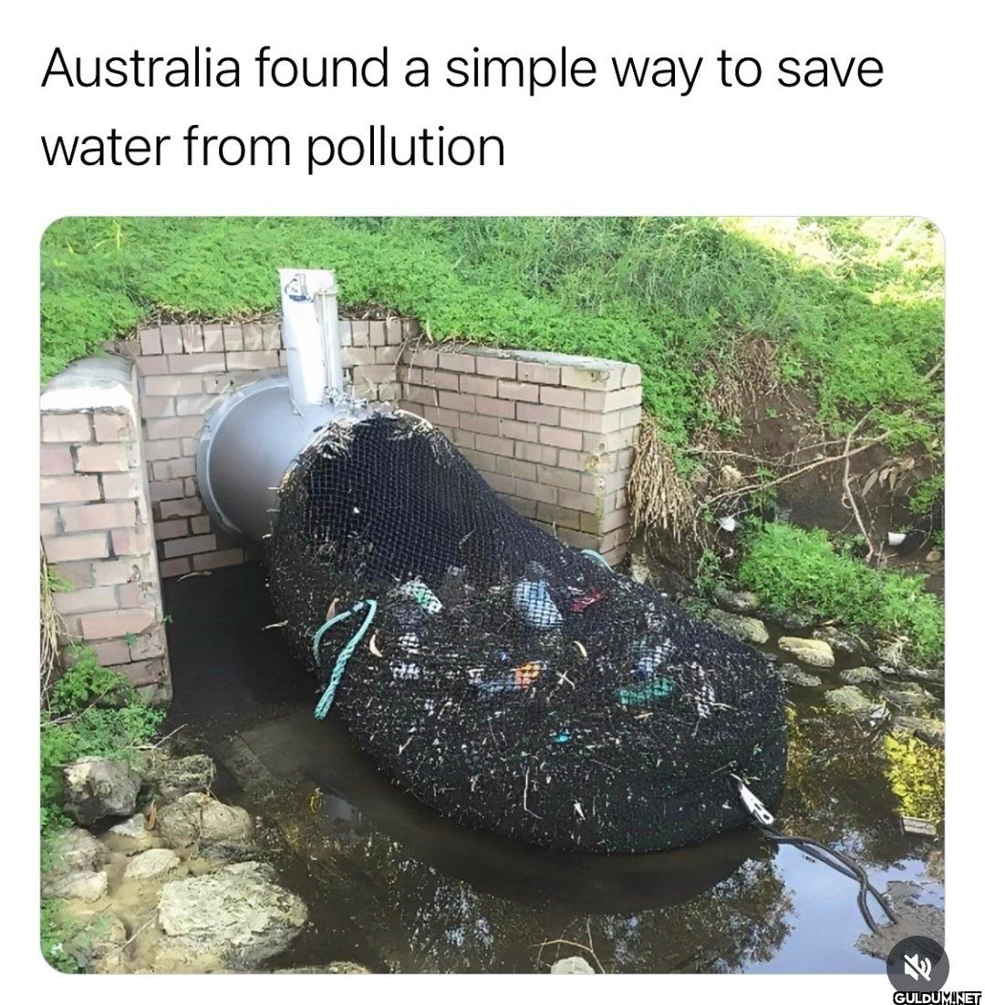Smart.    Australia found...